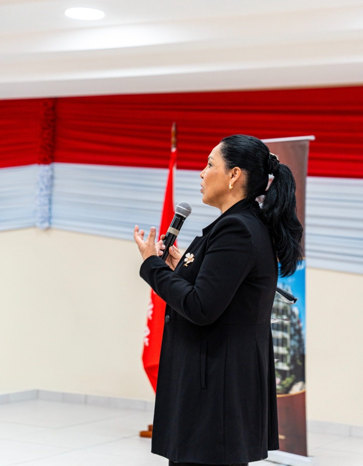 Presentación técnica del diplomado